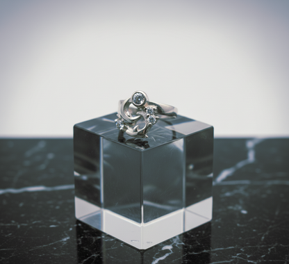 "Twilight Tide Dolphin Spiral Spinning Ring" – Ocean-Energy 925 Silver Design